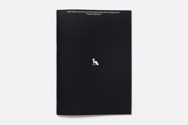 Patricia bucher cahier dartiste cover pro helvetia