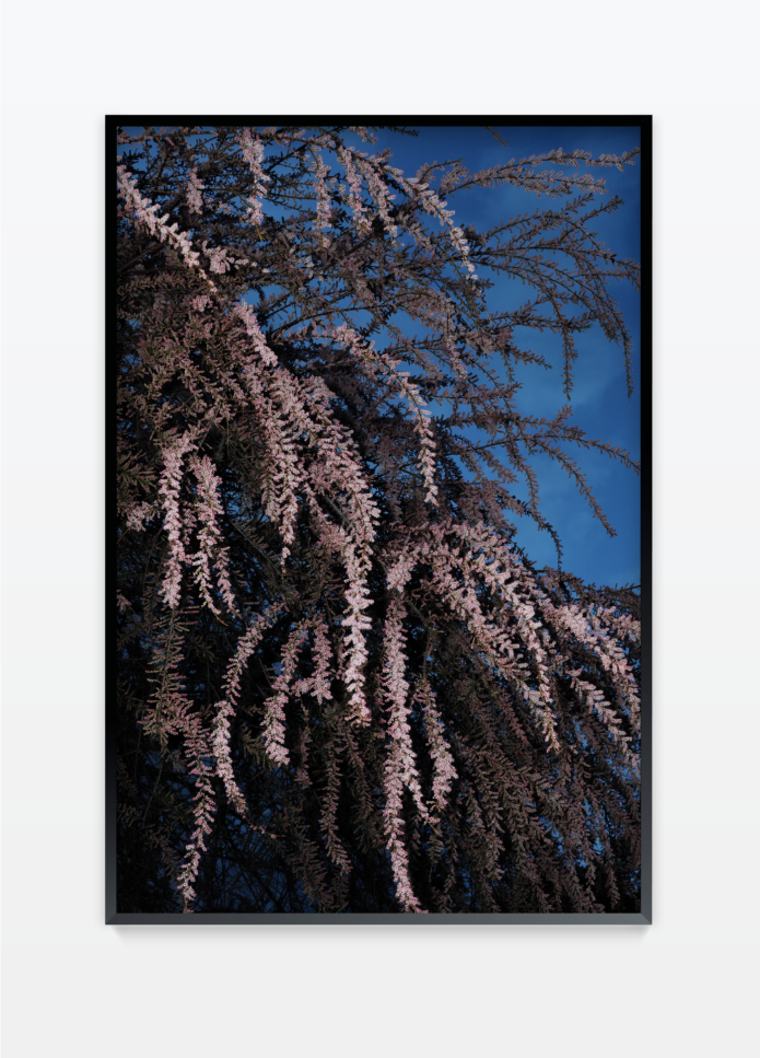 Henz thibaut untitled 1 photography bettina steinbruegge hamburg