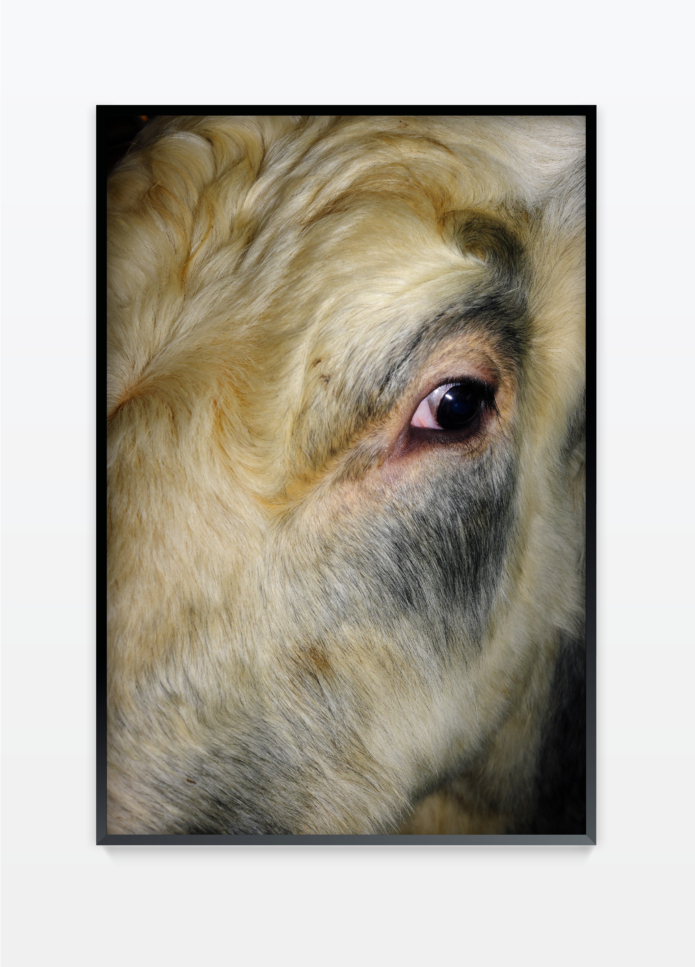Henz thibaut untitled 13 photography bettina steinbruegge hamburg