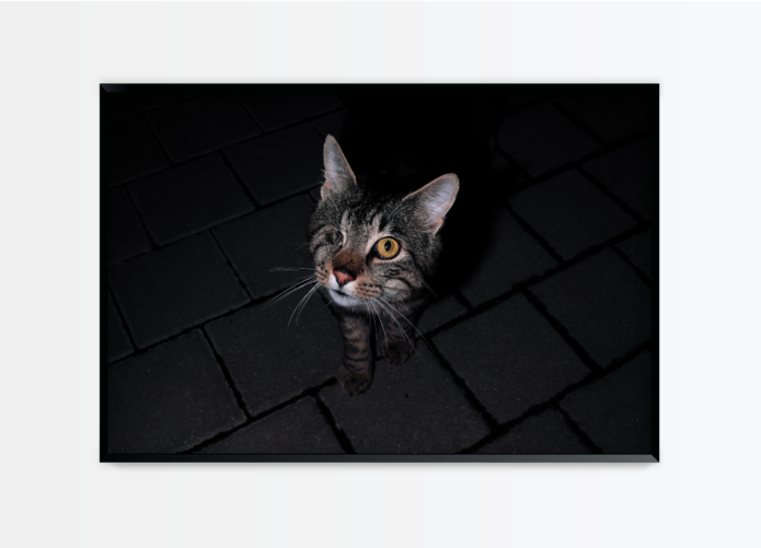 Henz thibaut untitled 14 photography bettina steinbruegge hamburg