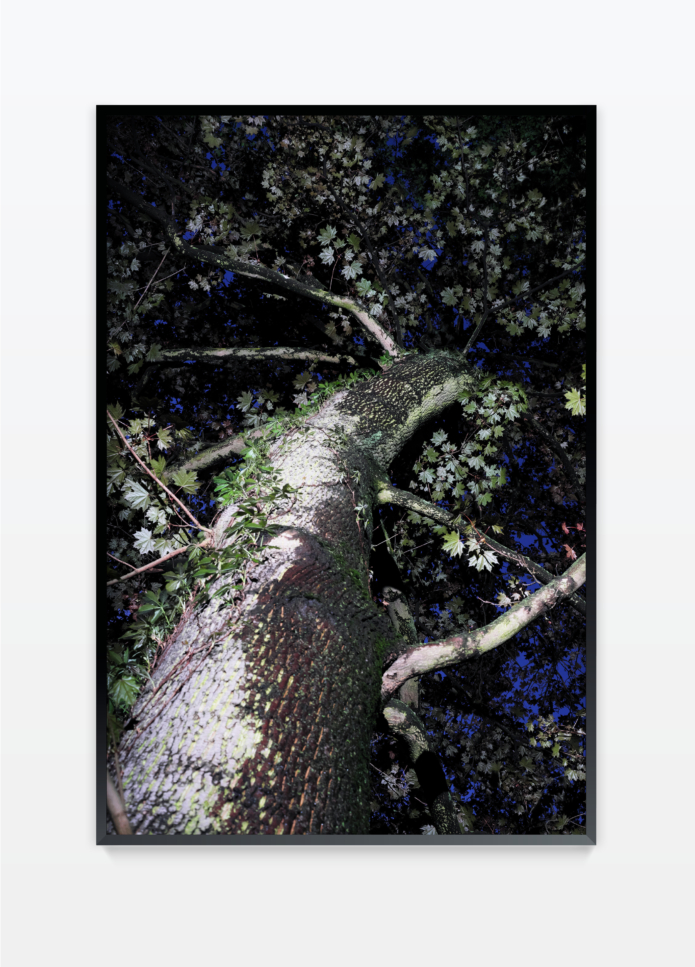 Henz thibaut untitled 15 photography bettina steinbruegge hamburg