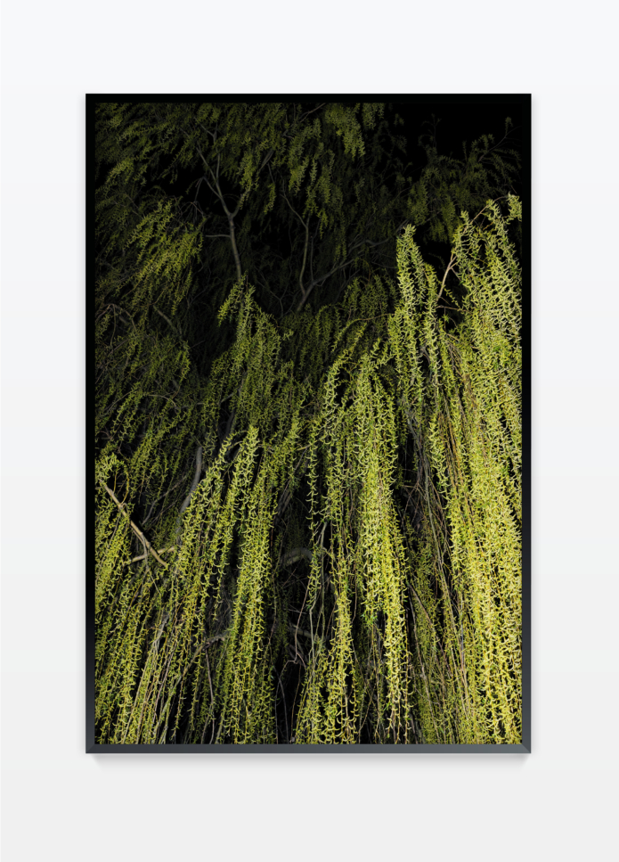Henz thibaut untitled 26 photography bettina steinbruegge hamburg