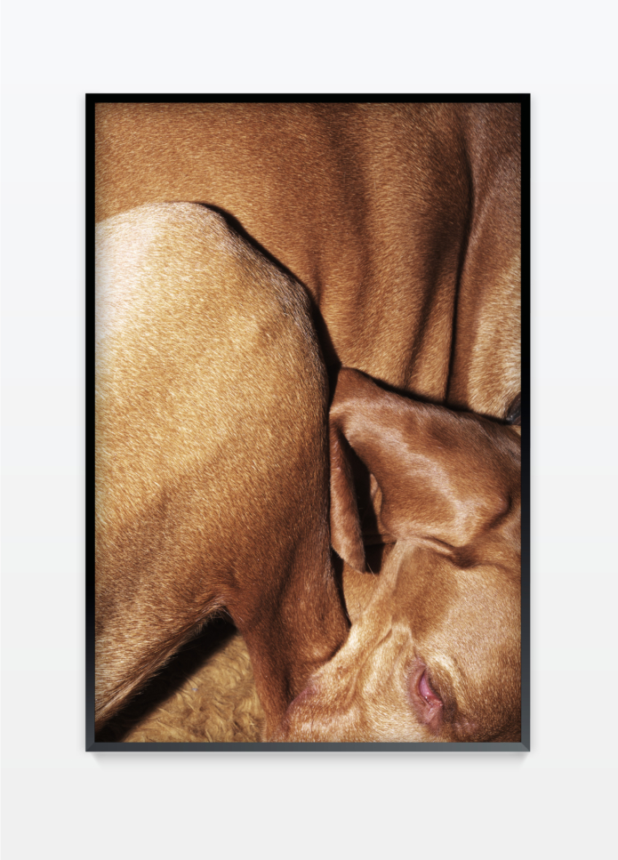 Henz thibaut untitled 5 photography bettina steinbruegge hamburg