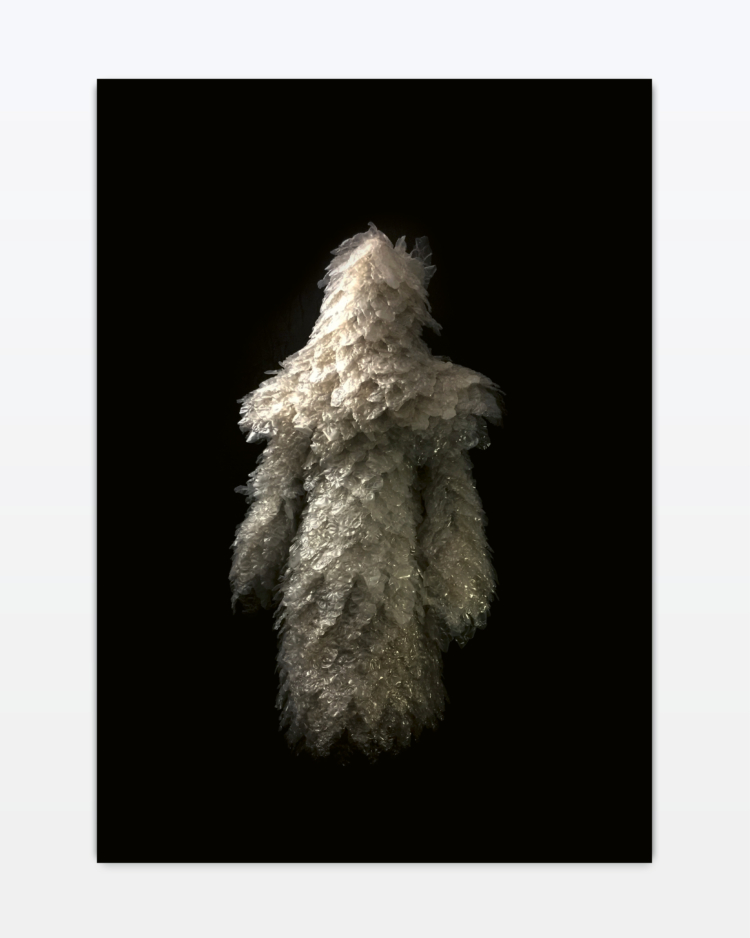 Sterre mette let us please populate bettina steinbruegge hamburg