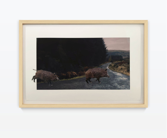 Muehlebach rhona excitement is not part of my feeling repertoire cahiers dartistes pro helvetia