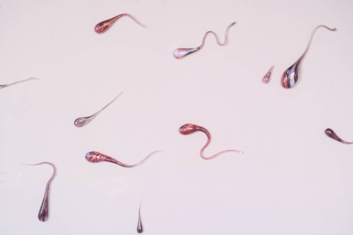 Zornio eva high tide low tide glass cahiers dartistes